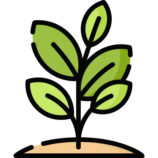 Plants